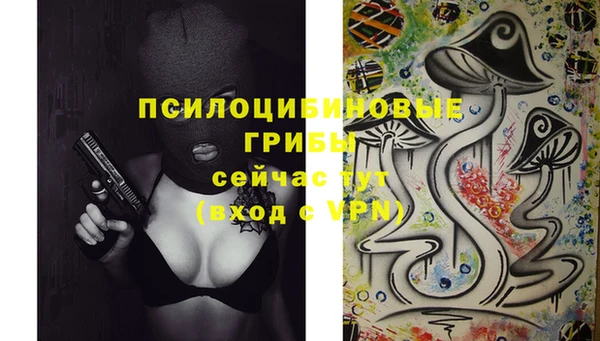 прущая мука Лабытнанги