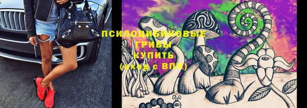 первитин Ладушкин