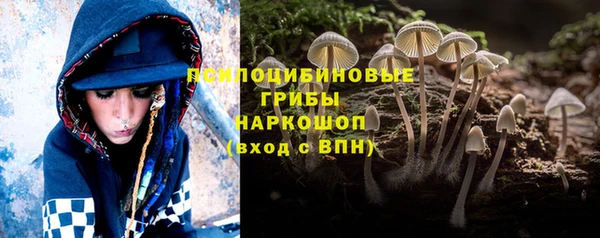 гашик Лагань