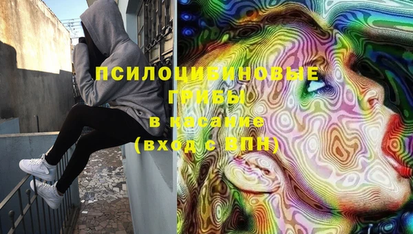 гашик Лагань