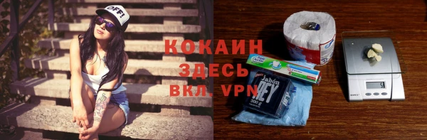 ГАЛЛЮЦИНОГЕННЫЕ ГРИБЫ Кулебаки