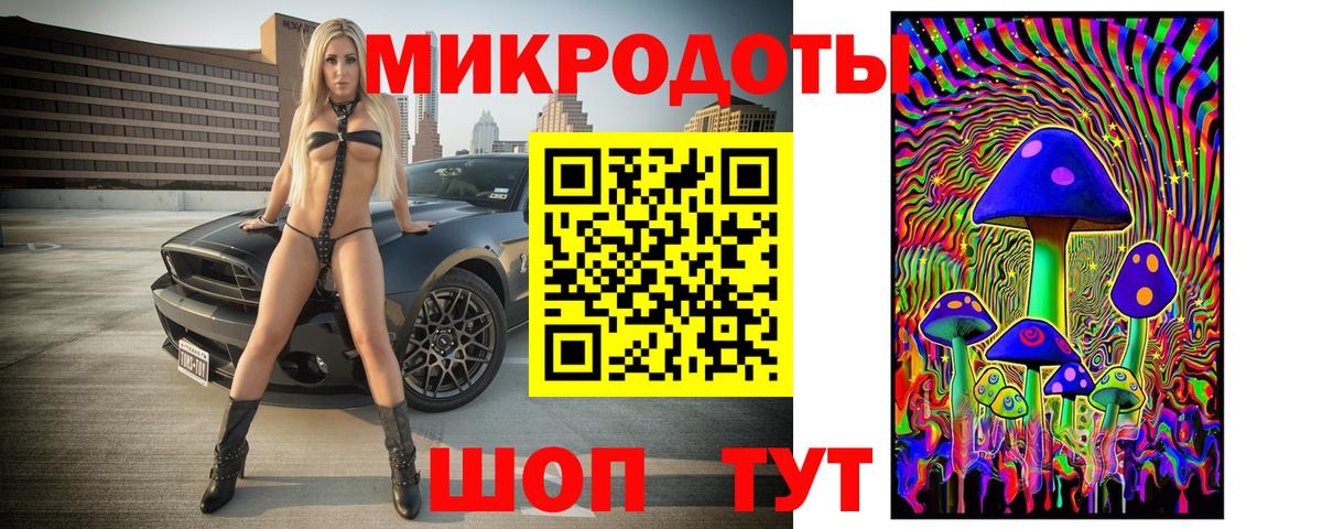 Псилоцибиновые грибы Psilocybe Фурманов