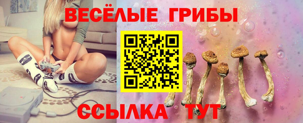 Псилоцибиновые грибы GOLDEN TEACHER Фурманов